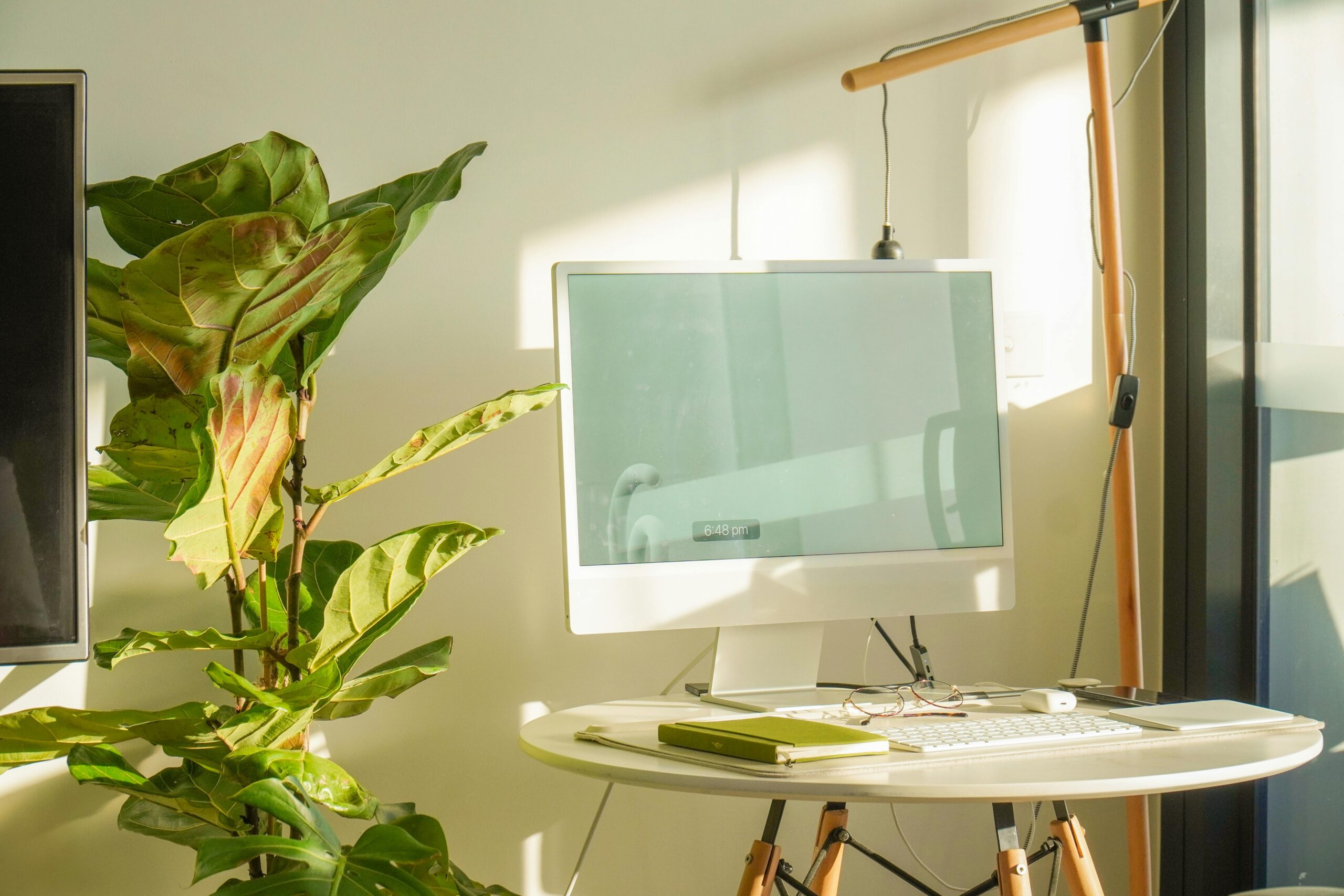 Home office space with a white computer and green plant lit by sunlight from a window on the right.